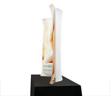 8' Tabletop EZ-Zip Stretch Fabric Display - TDDisplays