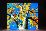 Bold3D Metal 10' LED Backlit Display - TDDisplays