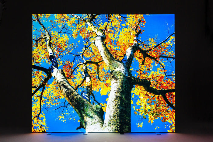 Bold3D Metal 10' LED Backlit Display