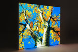 Bold3D Metal 10' LED Backlit Display - TDDisplays